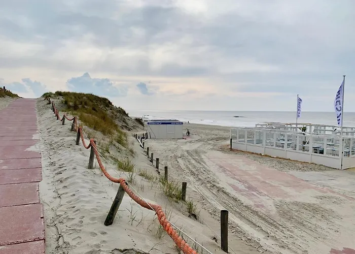 De Ruijsvogel De Koog (Texel)